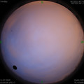1594411817.jpg