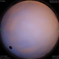 1594411937.jpg