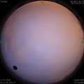1594411997.jpg