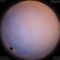 1594412237.jpg