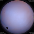 1594413017.jpg