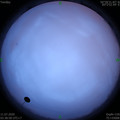 1594413573.jpg