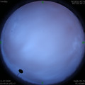 1594414203.jpg