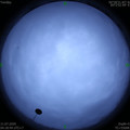 1594415944.jpg