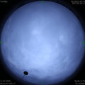 1594416184.jpg