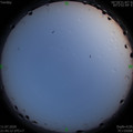 1594478720.jpg
