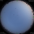 1594479455.jpg