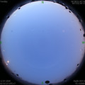 1594497194.jpg