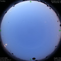1594497464.jpg