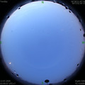1594498184.jpg