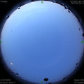 1594498875.jpg