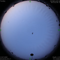 1594502461.jpg