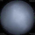 1594598629.jpg
