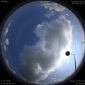 1594633101.jpg