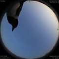 1594650614.jpg