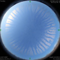 1594681290.jpg