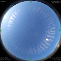 1594682085.jpg