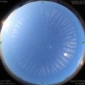 1594682475.jpg