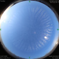 1594682865.jpg