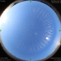 1594683256.jpg