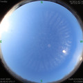 1594683661.jpg