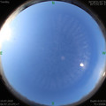 1594684051.jpg