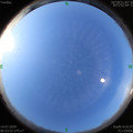 1594684443.jpg