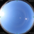 1594687202.jpg