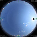 1594725366.jpg