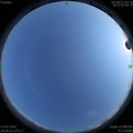1594732000.jpg