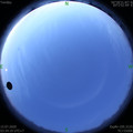 1594758893.jpg