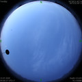 1594760439.jpg