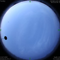 1594760814.jpg