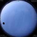 1594761129.jpg
