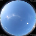 1594768438.jpg