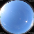 1594769218.jpg