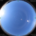 1594771994.jpg