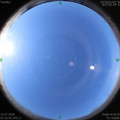 1594773180.jpg