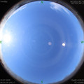 1594775146.jpg
