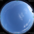 1594818457.jpg