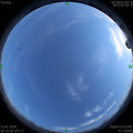 1594818637.jpg