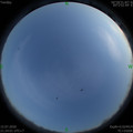 1594823049.jpg