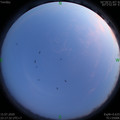 1594826261.jpg