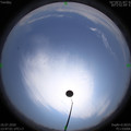 1594882029.jpg