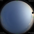 1594903549.jpg