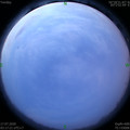 1594930668.jpg