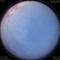 1594936310.jpg