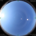 1594947041.jpg