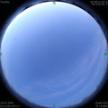 1595017365.jpg