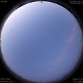 1595021387.jpg